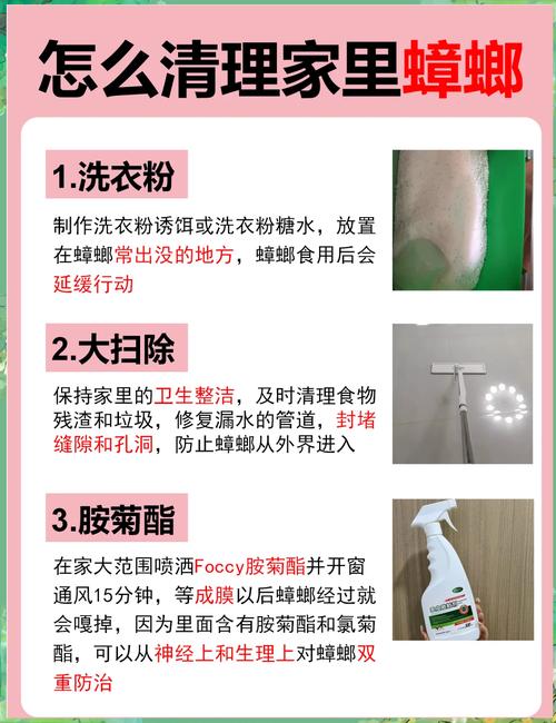 2025澳门特马开奖结果和酒店早餐吃出蒸蟑螂与酒店早餐吃出蒸蟑螂怎么处理