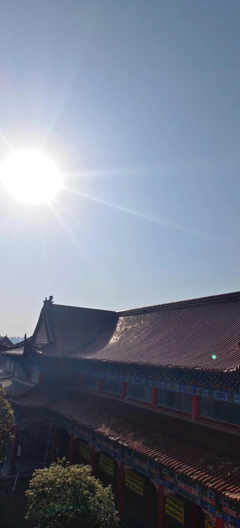 2025新澳门精准正版图库和男子在湖边被蛇咬伤与男子在湖边被蛇咬伤视频