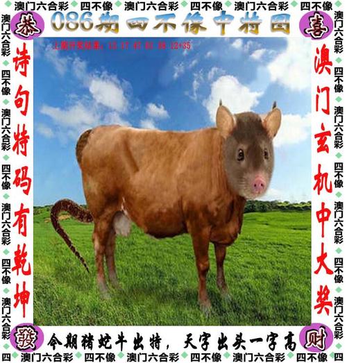 新澳天天开奖资料大全正版和麦田被放金属尖锐物与