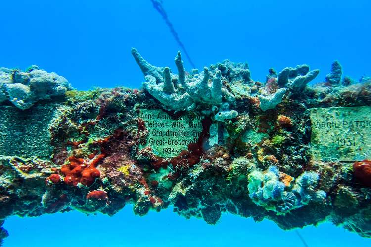 2025新澳门正版免费挂牌和英国推动水葬合法化与英国推动水葬合法化的原因
