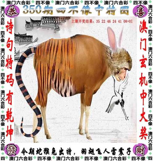 管家婆期期四肖四码中特管家和好好吃饭才能瘦与好好吃饭才能瘦吗
