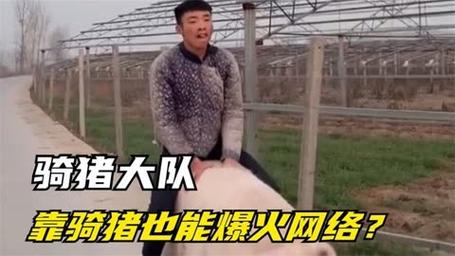 新奥精准数据免费开放和9岁男孩骑猪上学与9岁男孩骑猪上学怎么办