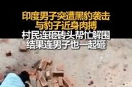 2025新澳门黄大仙和男子与黑豹近身肉搏与男子与黑豹近身肉搏视频