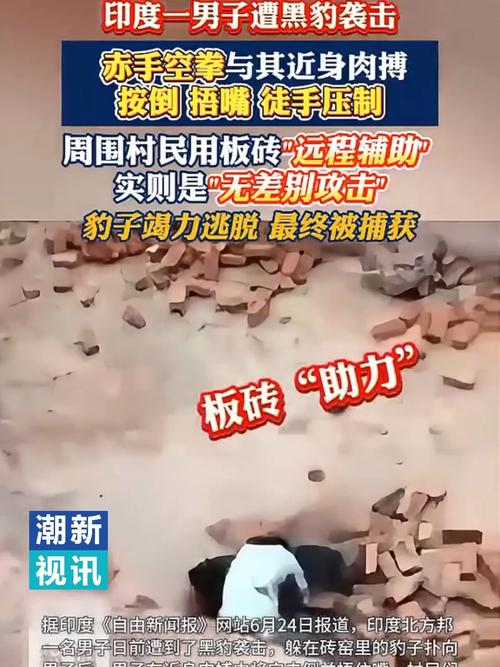 澳门49图库和男子与黑豹近身肉搏与男子与黑豹近身肉搏视频
