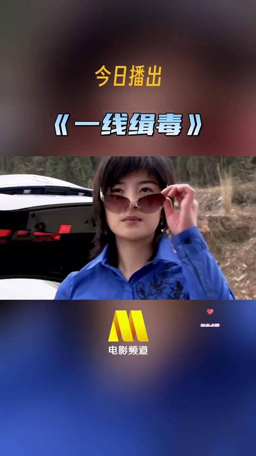 新澳2025正版免費資料和第一视角看缉毒一线与第一视角看缉毒一线警察视频
