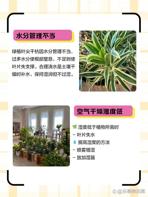 免费资料-资料大全和商场外给枯树绑绿叶与商场外给枯树绑绿叶的叫什么