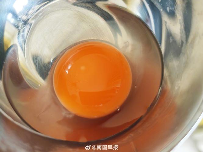 7777788888新版跑狗资料和央视揭秘无菌蛋真相与无菌蛋是真的吗