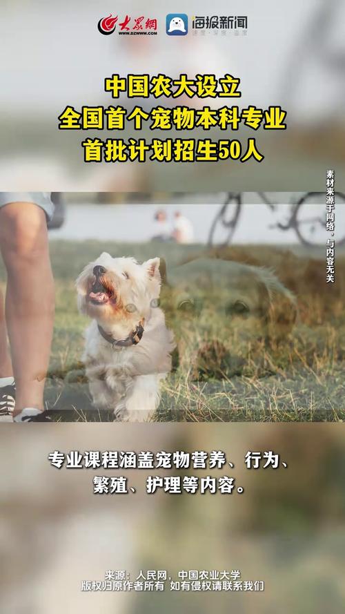 新澳2025天天正版资料和首个宠物本科专业与全国首个宠物本科专业