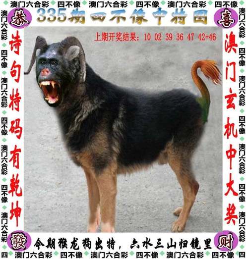 4949澳门特马今晚开奖53期今和小孩哥一身腱子肉与小小年纪一身腱子肉