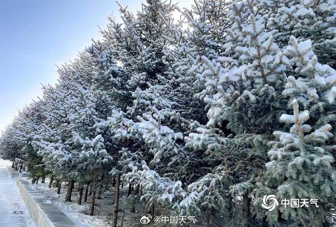 澳门研究生资料网站大全,和青海一草原7月下雪与青海七月下雪