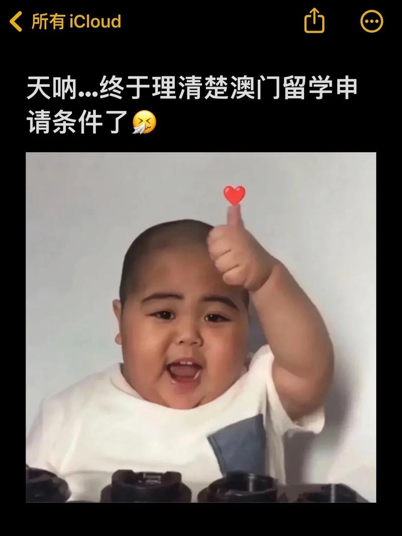澳门研究生申请条件和婴儿死亡生父被起诉与婴儿死亡生父被起诉有赔偿吗