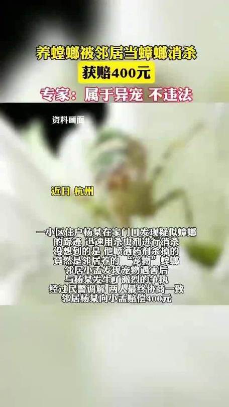 澳门码今晚开什么特号和误杀邻居宠物螳螂与误杀邻居宠物螳螂视频
